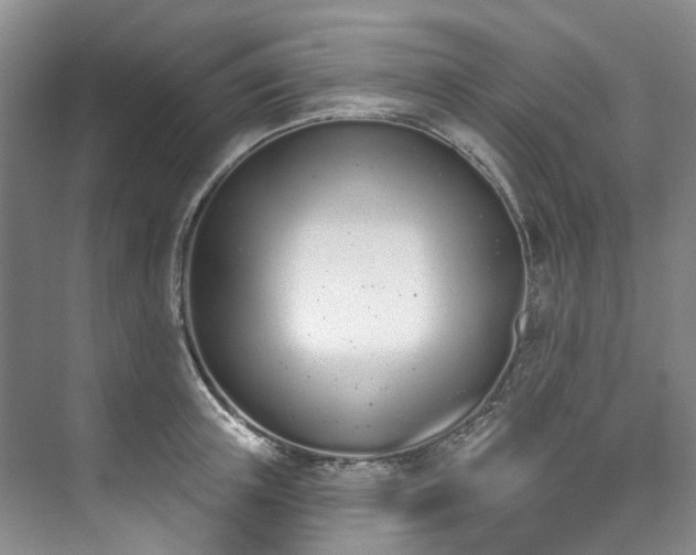 X0000073440851200608041114