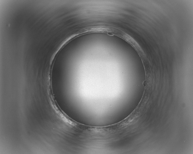 X0000073440852200608041114