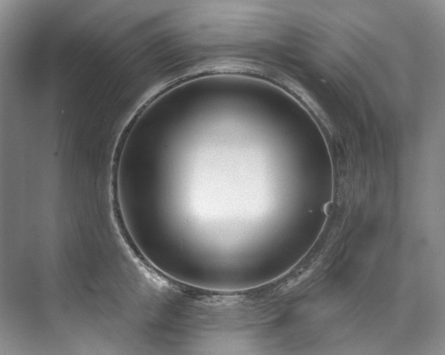 X0000073440853200608041114