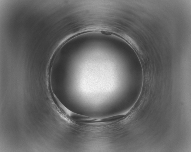 X0000073440854200608041114