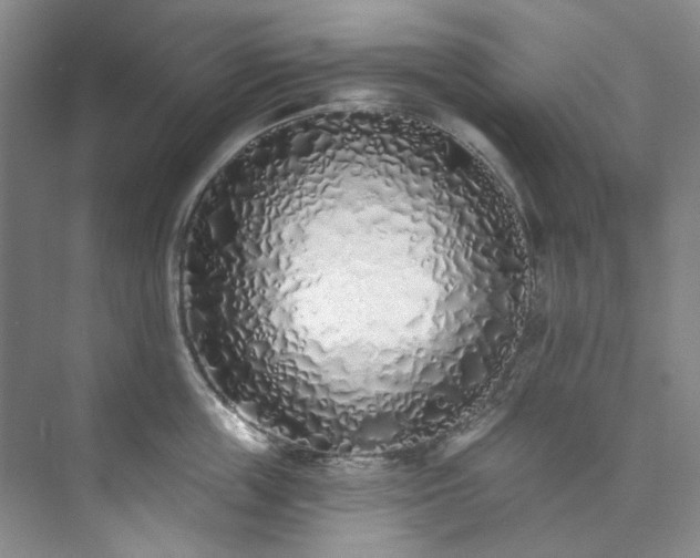 X0000073440859200608041114