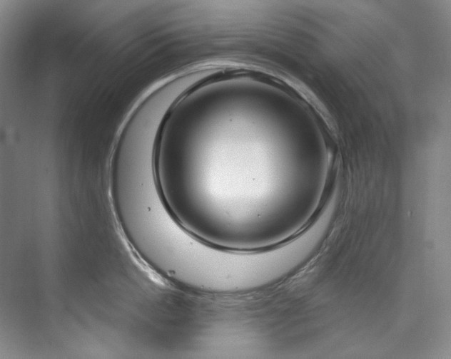 X0000073440862200608041114