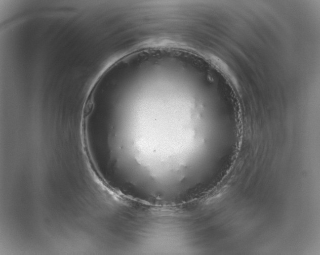 X0000073440863200608041114