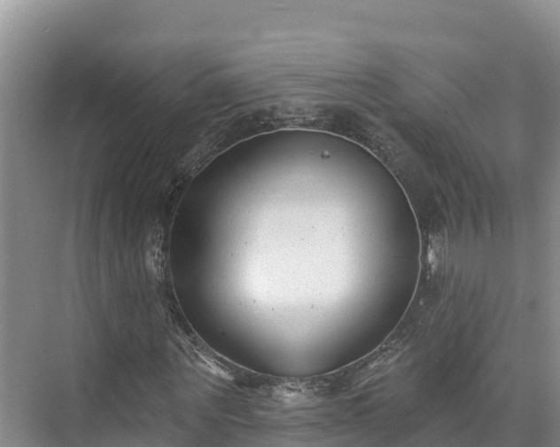 X0000073440867200608041113