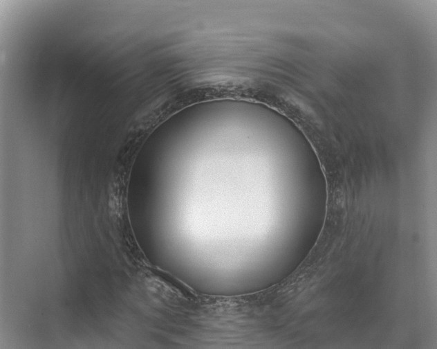 X0000073440869200608041113
