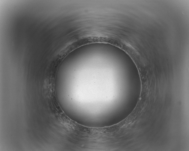 X0000073440870200608041113