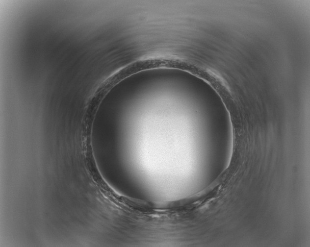 X0000073440872200608041113