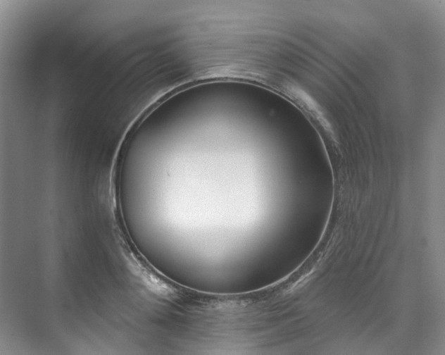 X0000073440892200608041113