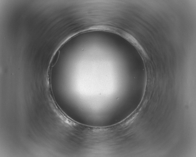 X0000073440908200608041113