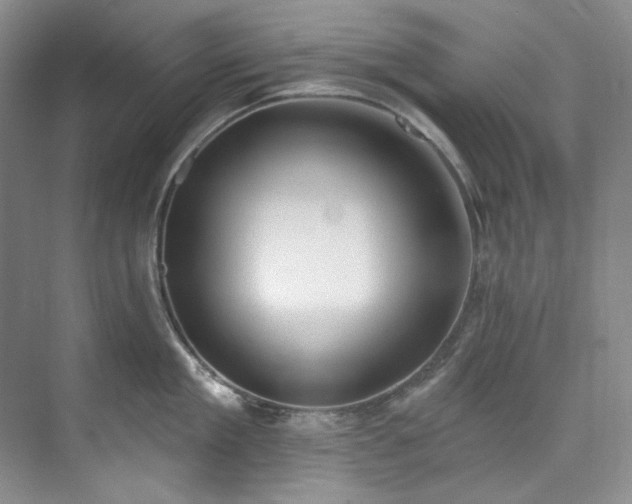 X0000073440909200608041113