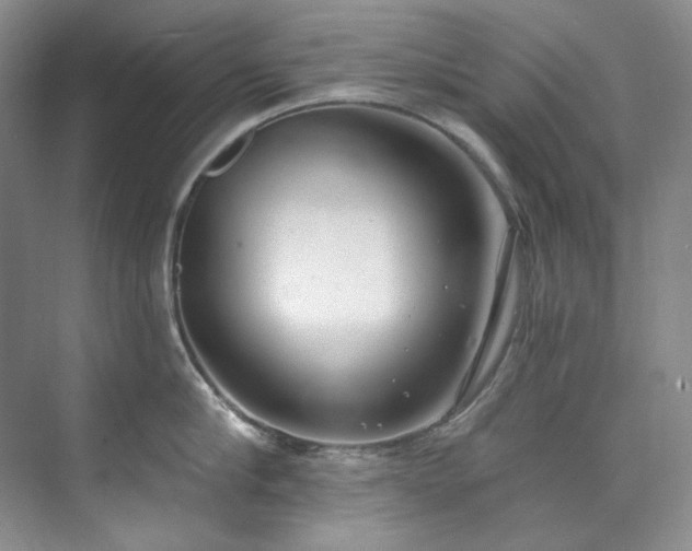 X0000073440910200608041113