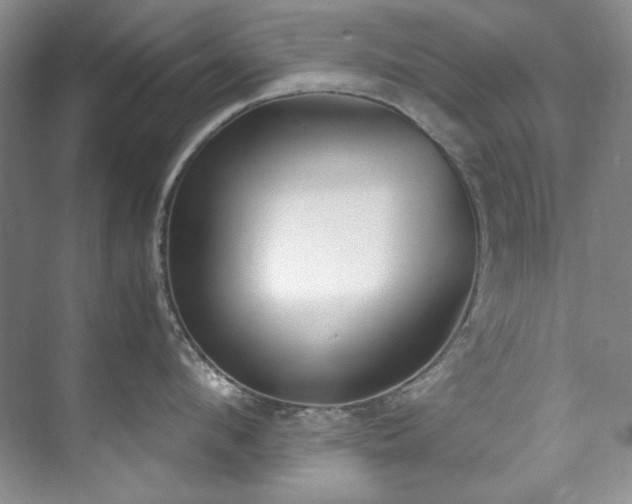 X0000073440912200608041113
