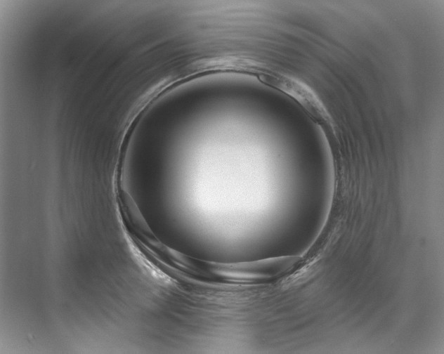 X0000073440946200608041112