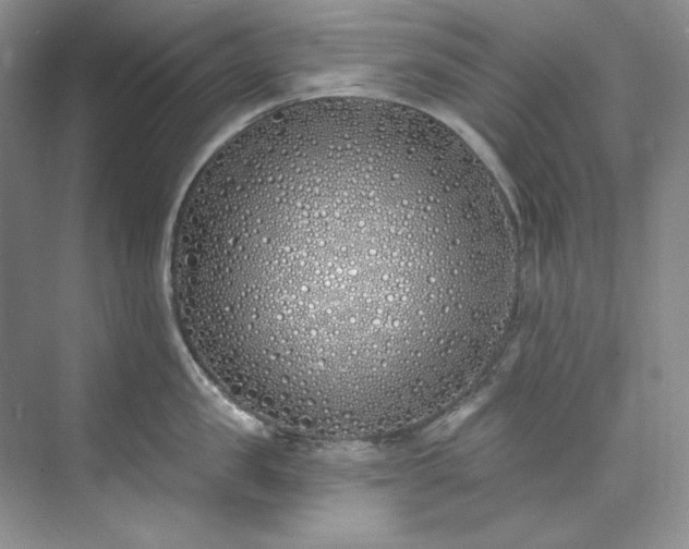 X0000073440957200608041113