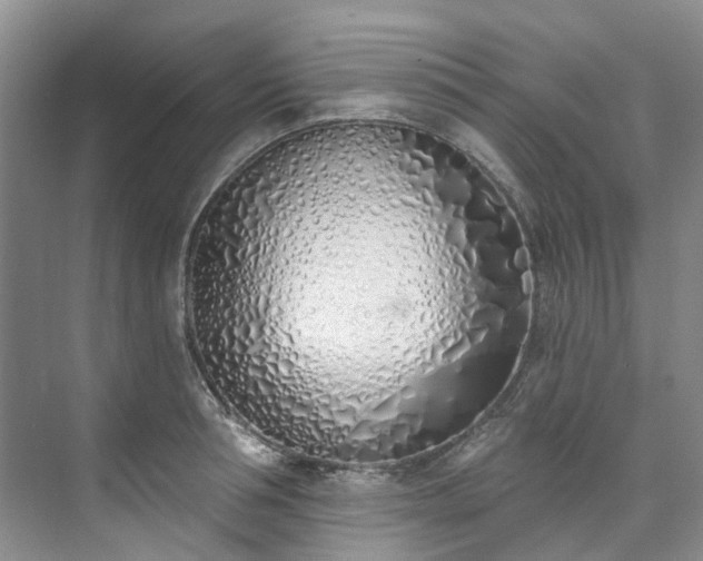 X0000073440994200608041111