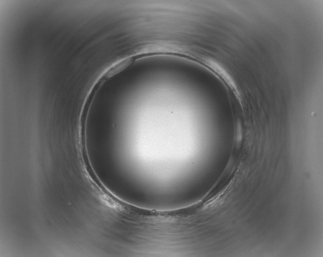 X0000073440996200608041111