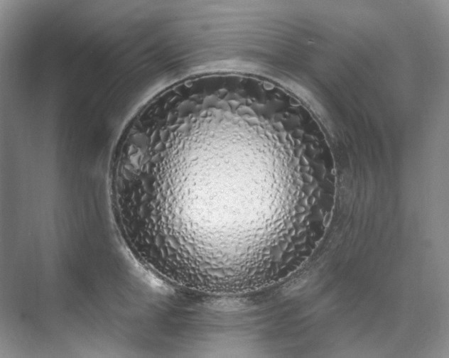 X0000073440998200608041111