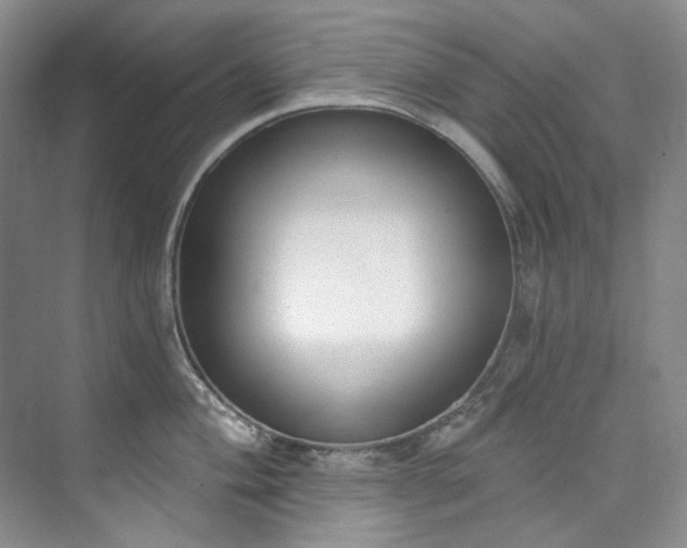 X0000073441004200608041111