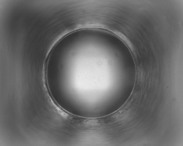 X0000073441006200608041111