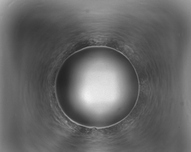 X0000073441009200608041110