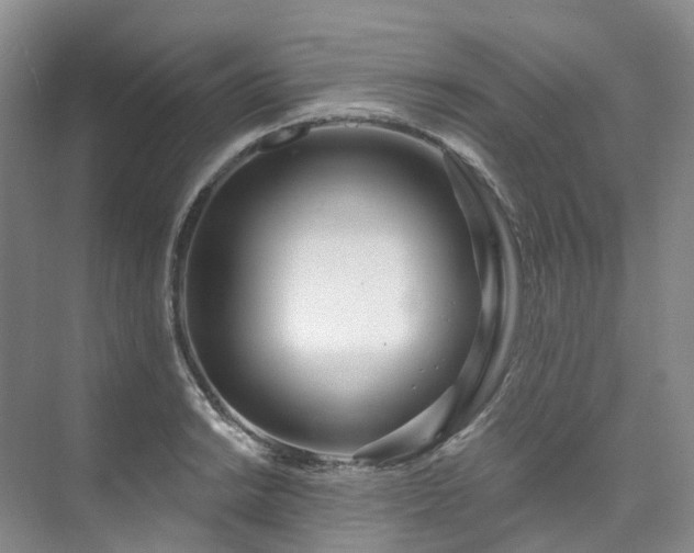 X0000073441038200608041111