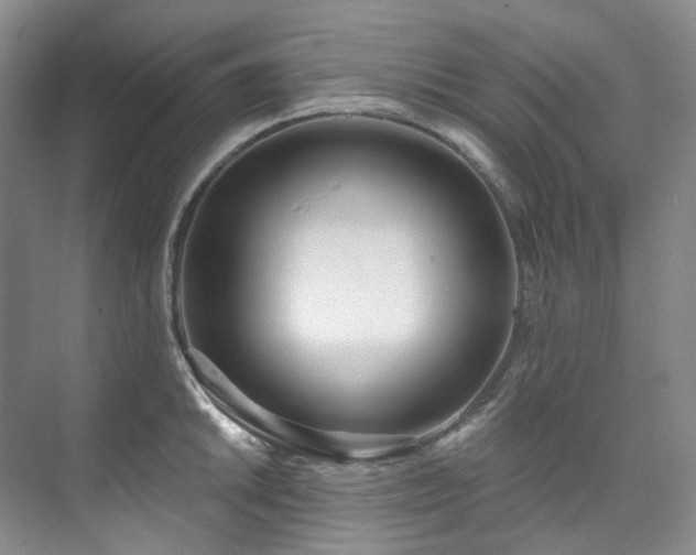 X0000073441046200608041111