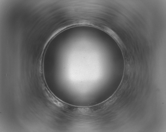 X0000073441052200608041111