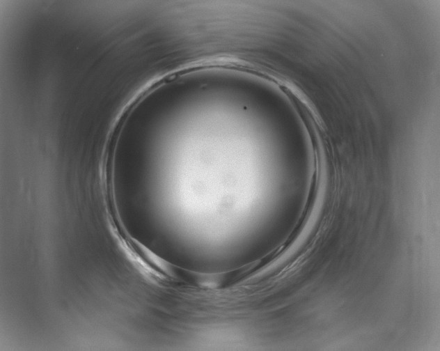 X0000073441054200608041111