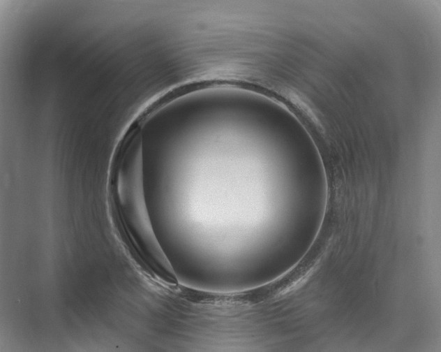 X0000073441077200608041110