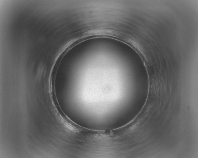 X0000073441082200608041110