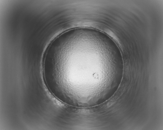 X0000073441088200608041110
