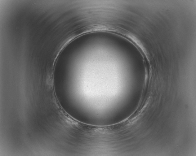 X0000073441097200608041110