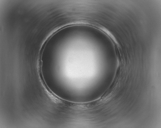 X0000073441101200608041109
