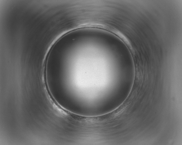 X0000073441102200608041109