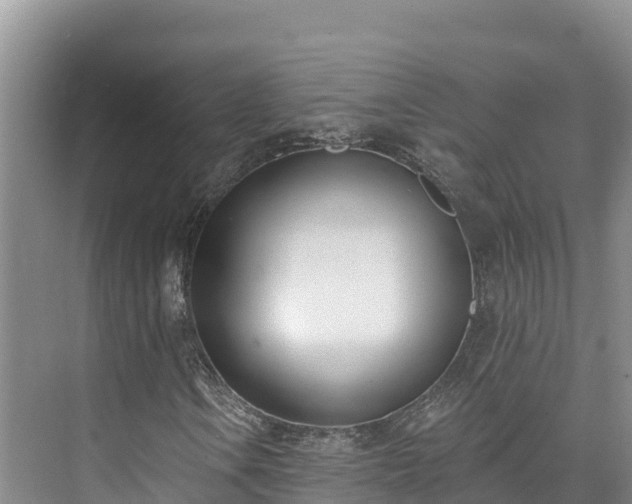 X0000073441106200608041109