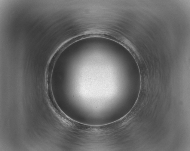 X0000073441124200608041109