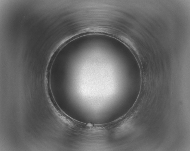 X0000073441133200608041109