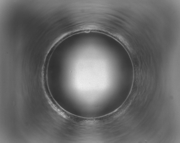 X0000073441134200608041109