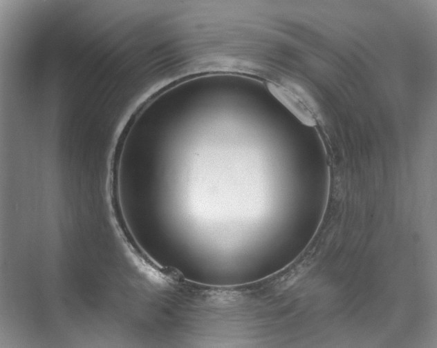 X0000073441136200608041109