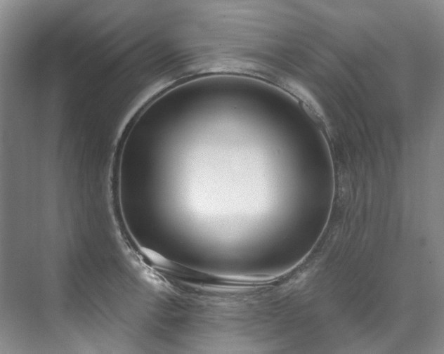 X0000073441138200608041109