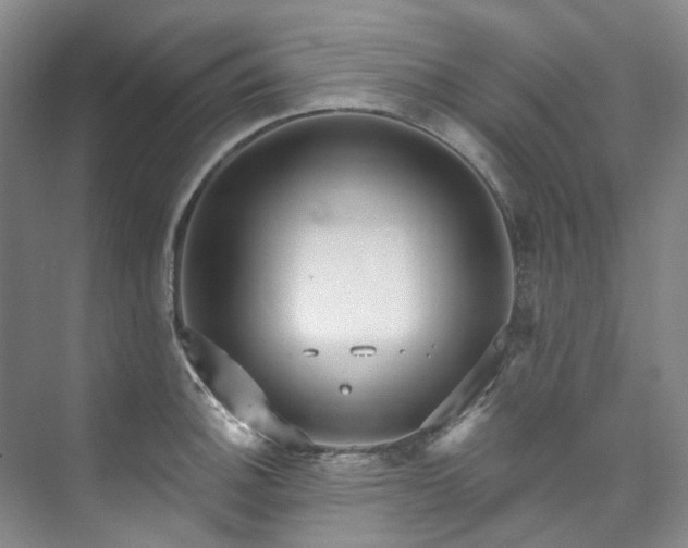X0000073441140200608041109