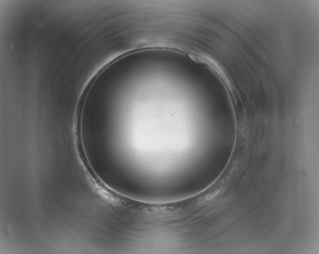 X0000073441149200608041109