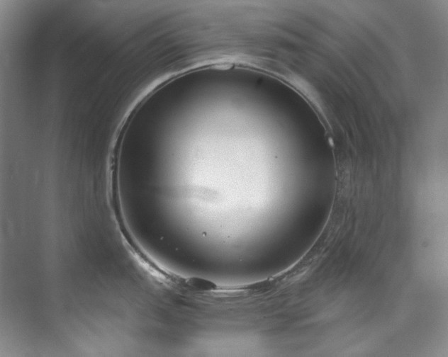 X0000073441151200608041109