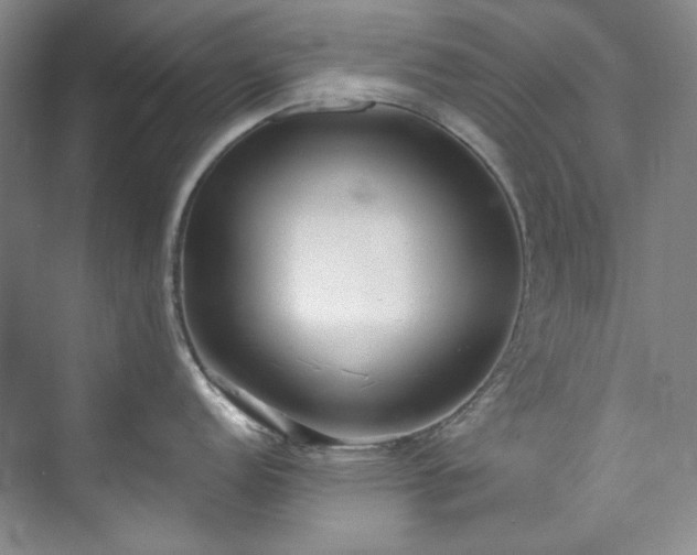 X0000073441152200608041109
