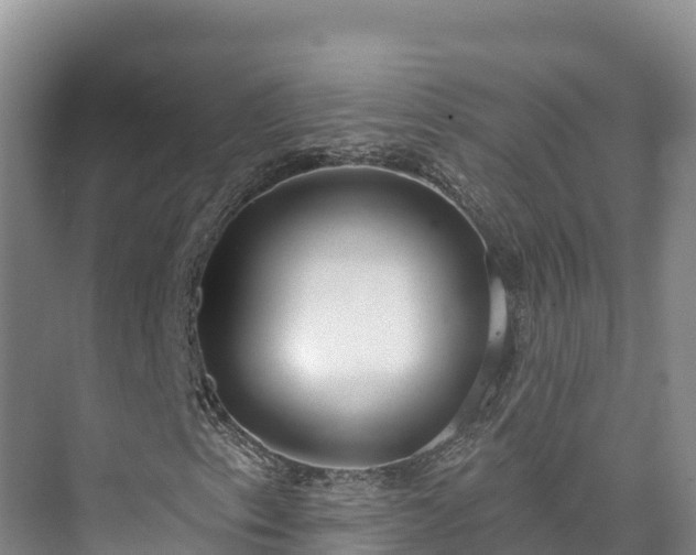 X0000073441153200608041109
