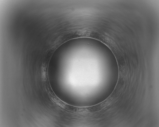 X0000073441154200608041109