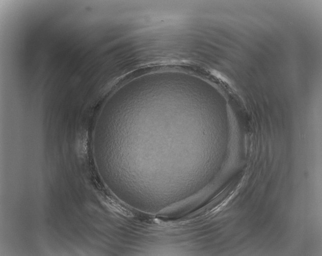 X0000073441161200608041108