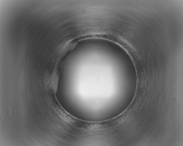 X0000073441169200608041108