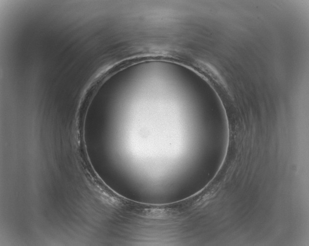X0000073441172200608041108