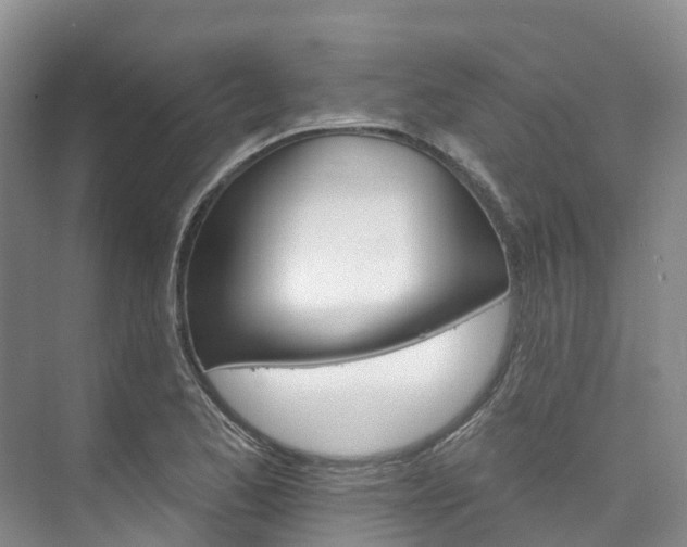 X0000073441173200608041108